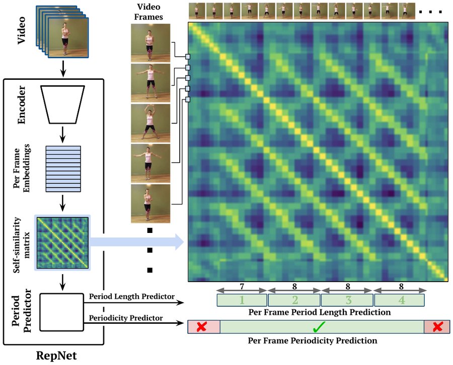 RepNet: Counting Out Time